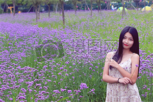 Focusing on Grassroots Art： Shanghai's Intangible Cultural Heritage Projects
