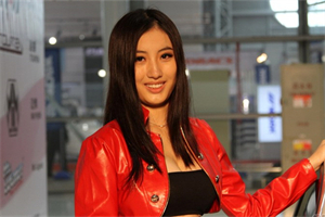 Night Tour Bus： A Panorama of the City's Scenery